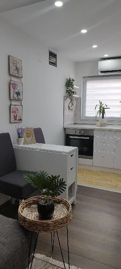Queen Apartmancic Zaječar Exterior foto